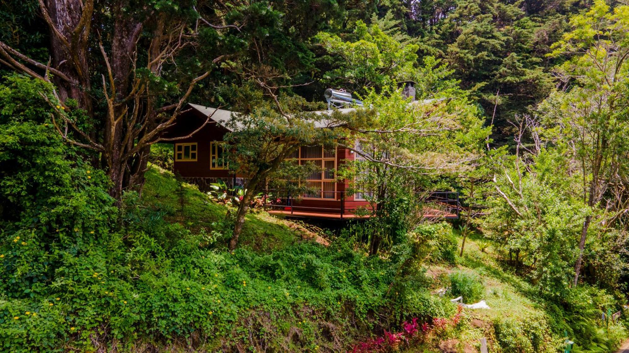 Los Pinos Cabins & Reserve Монте-Верде Экстерьер фото