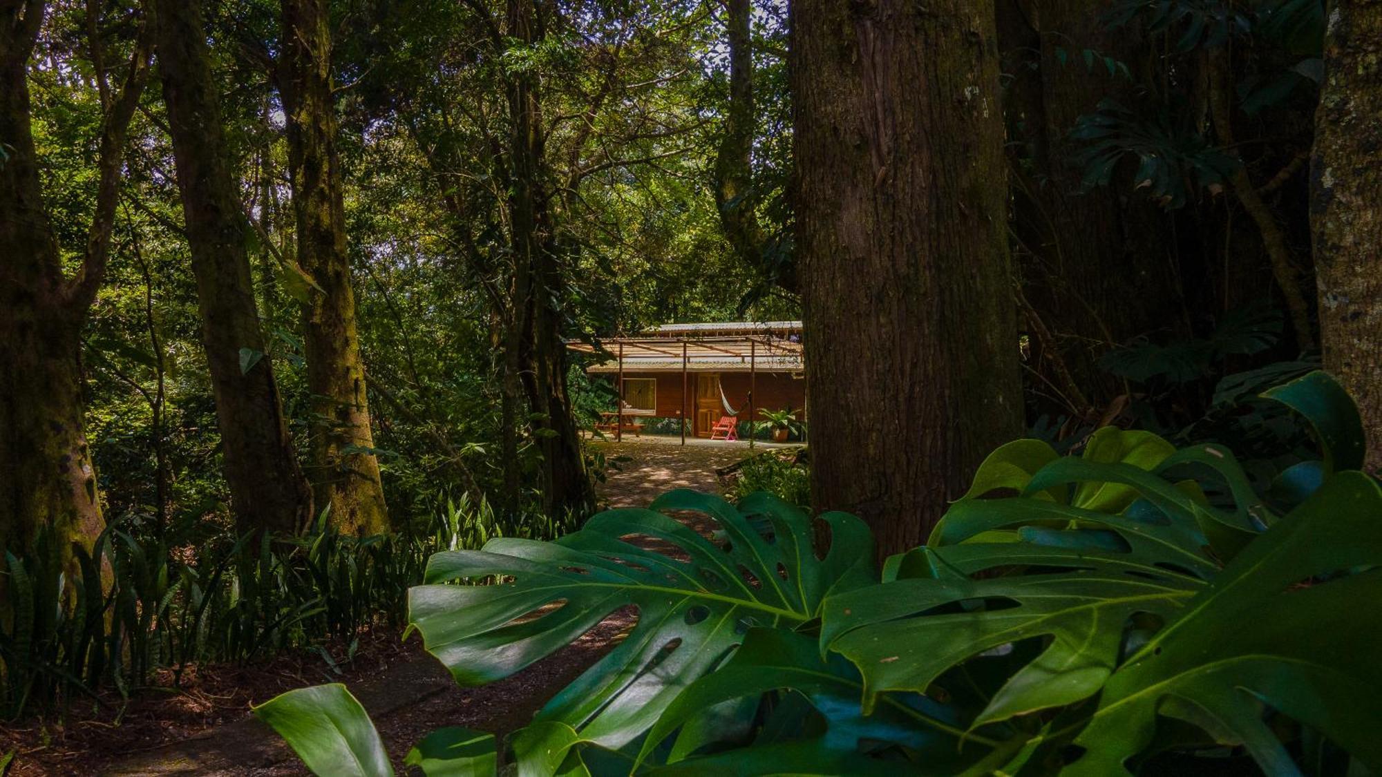 Los Pinos Cabins & Reserve Монте-Верде Экстерьер фото