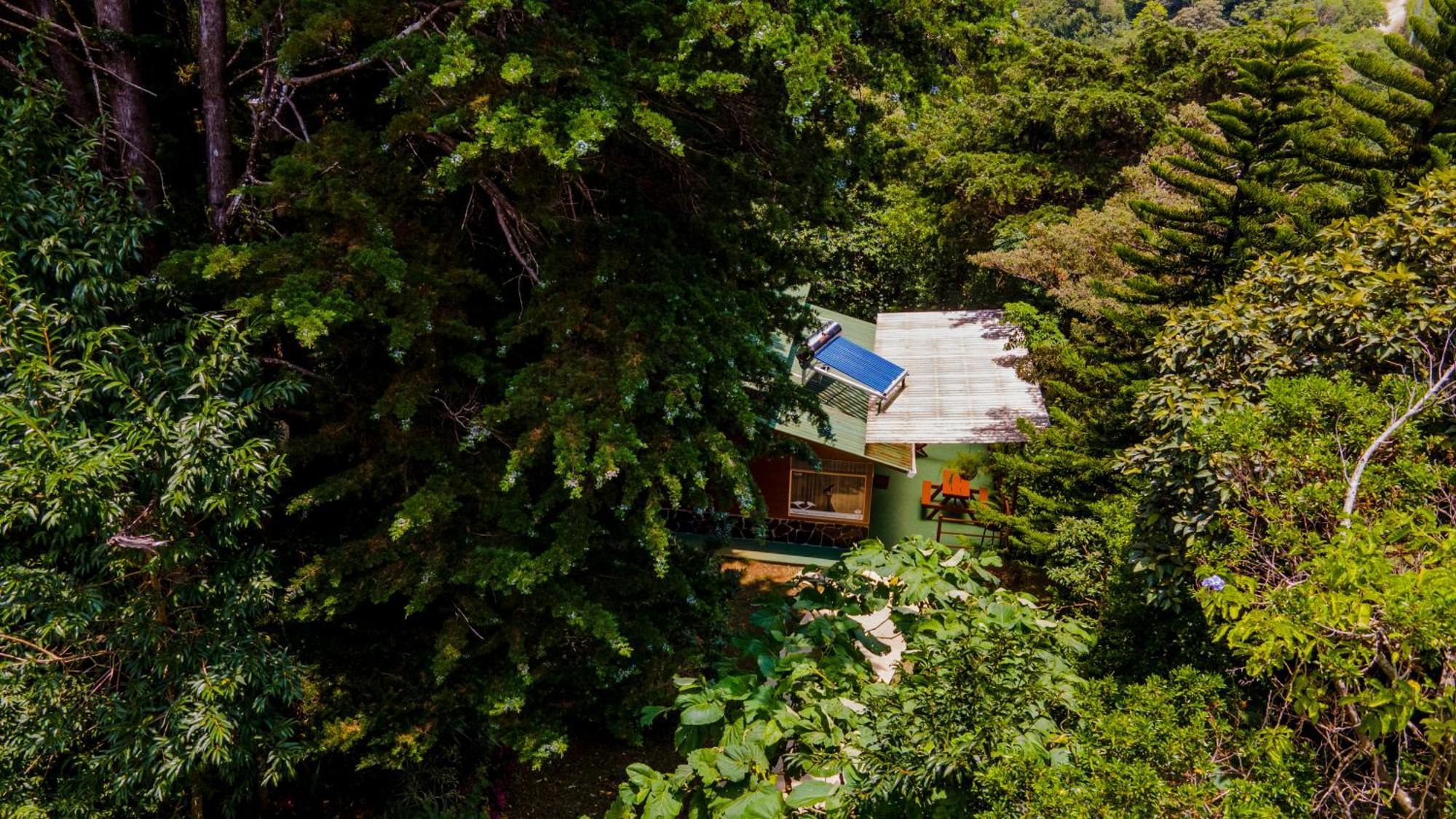 Los Pinos Cabins & Reserve Монте-Верде Экстерьер фото